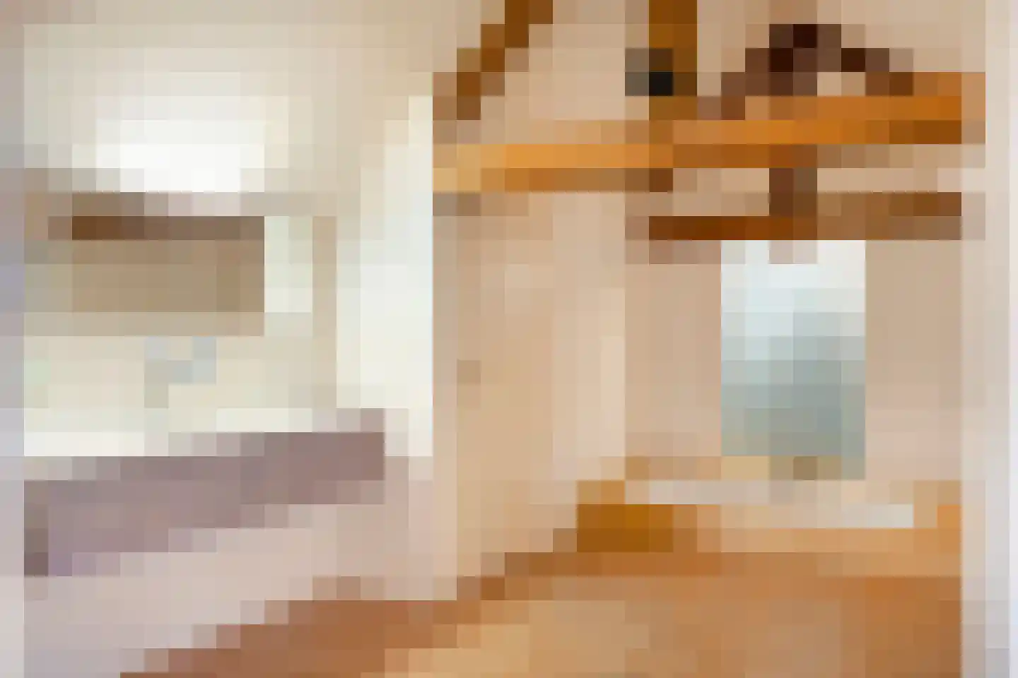 Opperduit 146 Lekkerkerk thumbnail 54