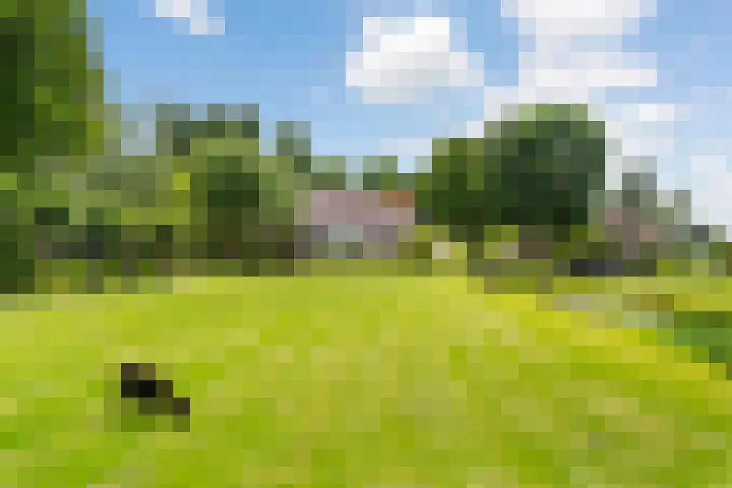Opperduit 146 Lekkerkerk thumbnail 56