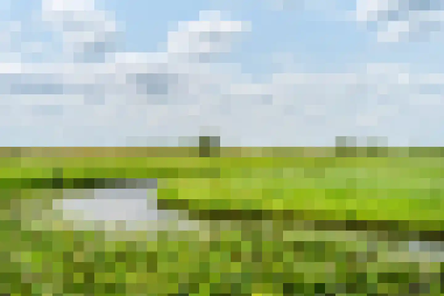 Opperduit 146 Lekkerkerk thumbnail 57