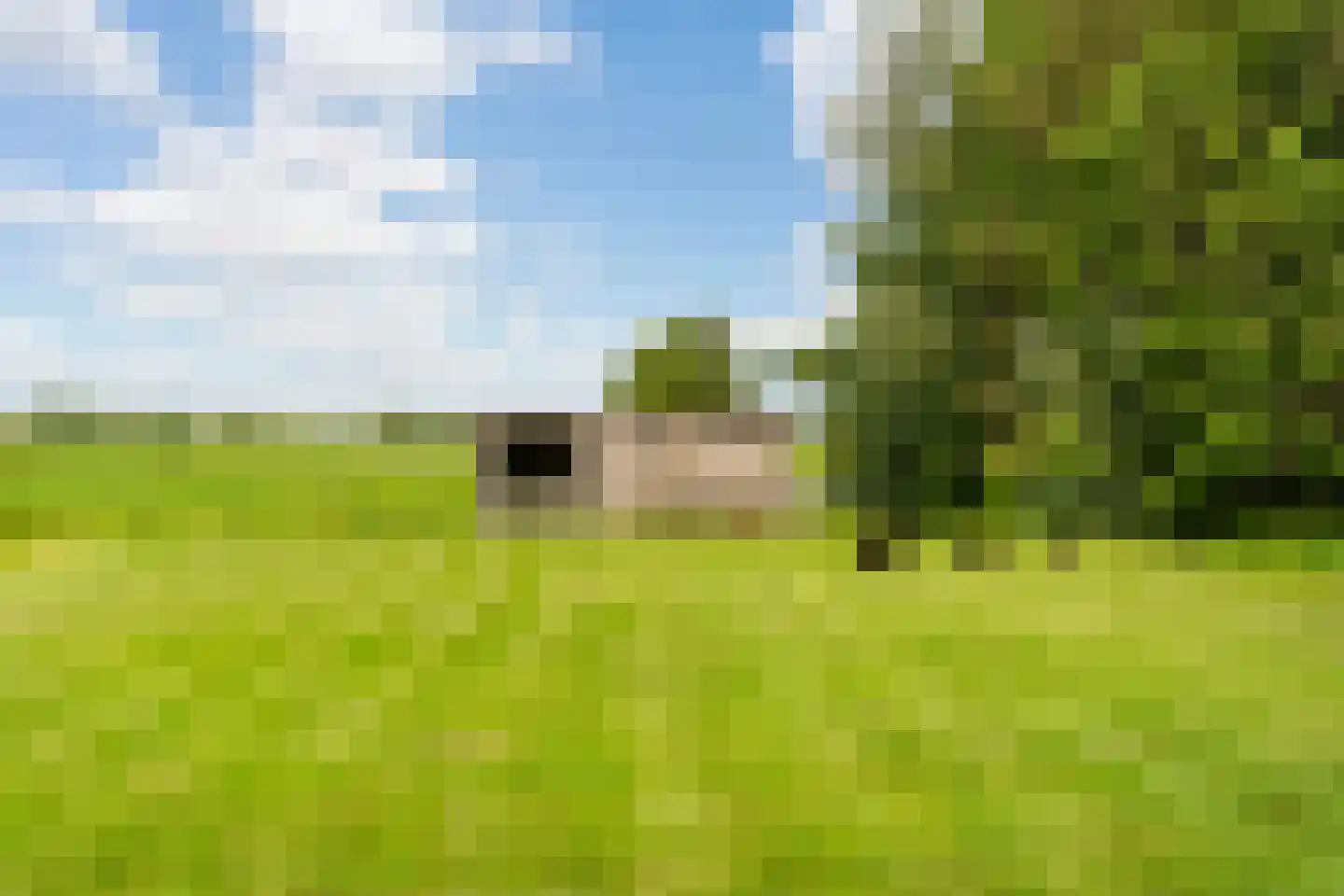Opperduit 146 Lekkerkerk thumbnail 58
