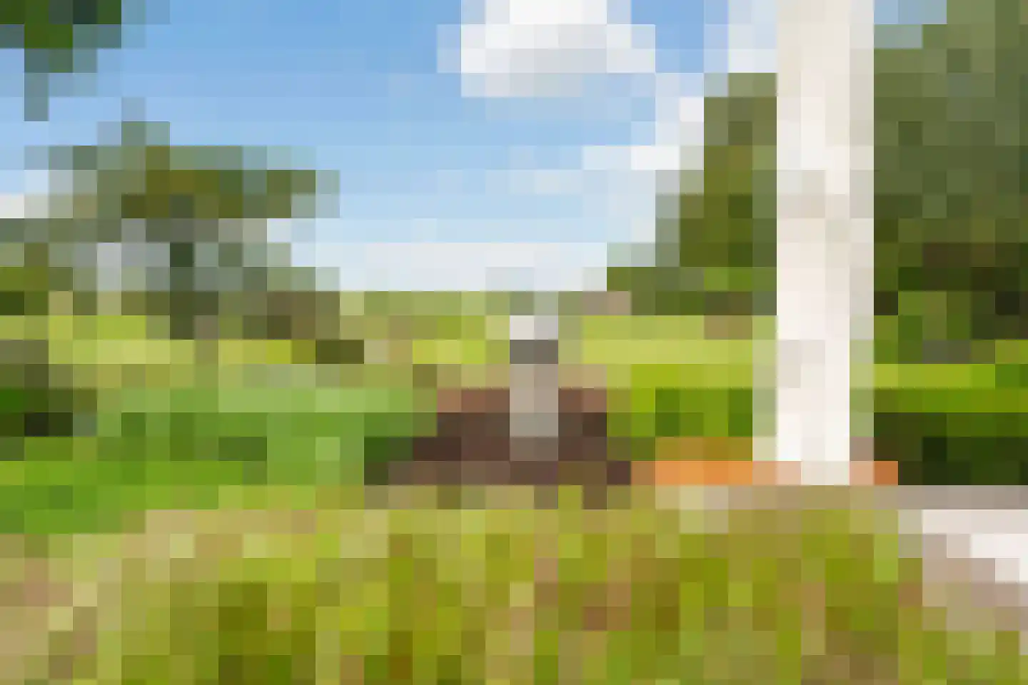 Opperduit 146 Lekkerkerk thumbnail 61