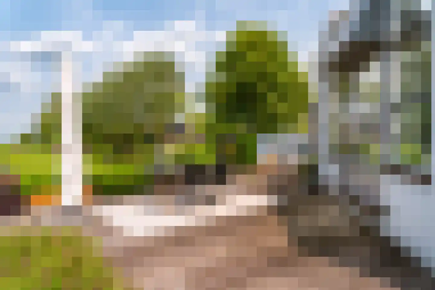 Opperduit 146 Lekkerkerk thumbnail 62