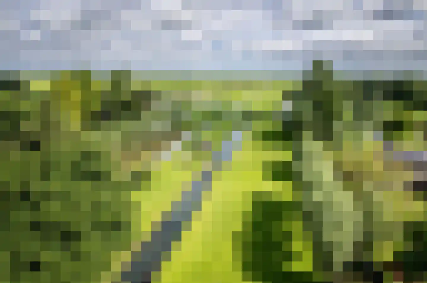 Opperduit 146 Lekkerkerk thumbnail 64