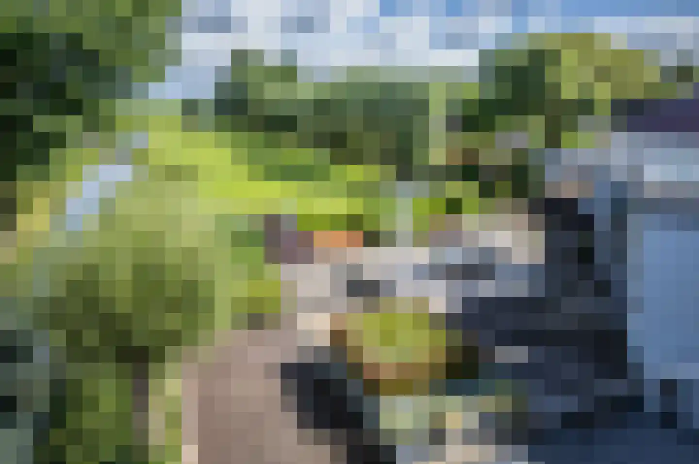 Opperduit 146 Lekkerkerk thumbnail 67