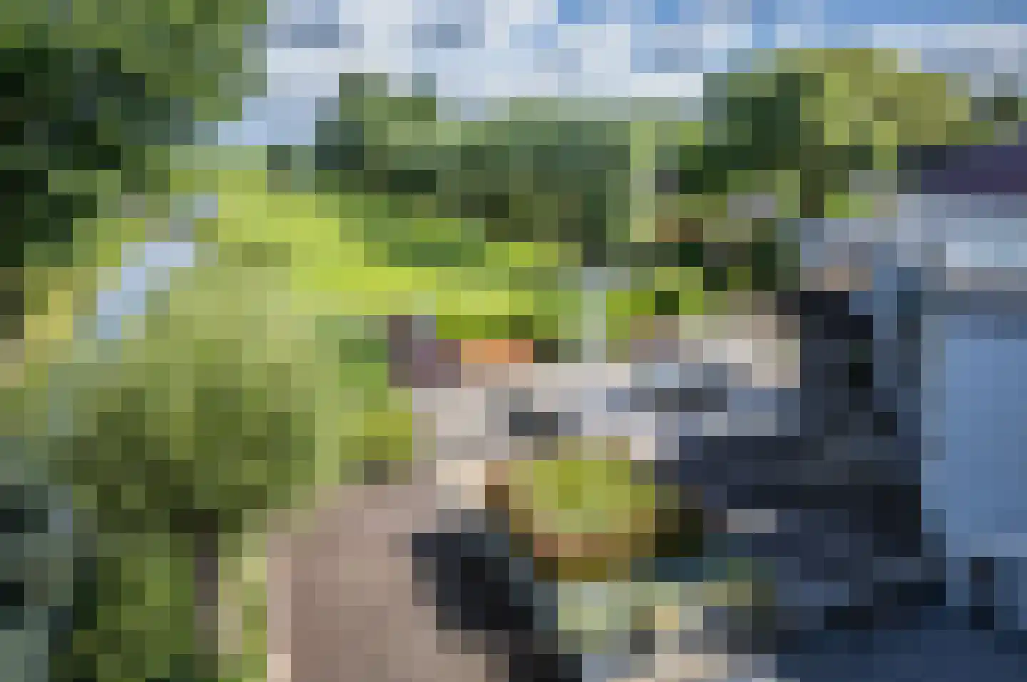 Opperduit 146 Lekkerkerk thumbnail 68