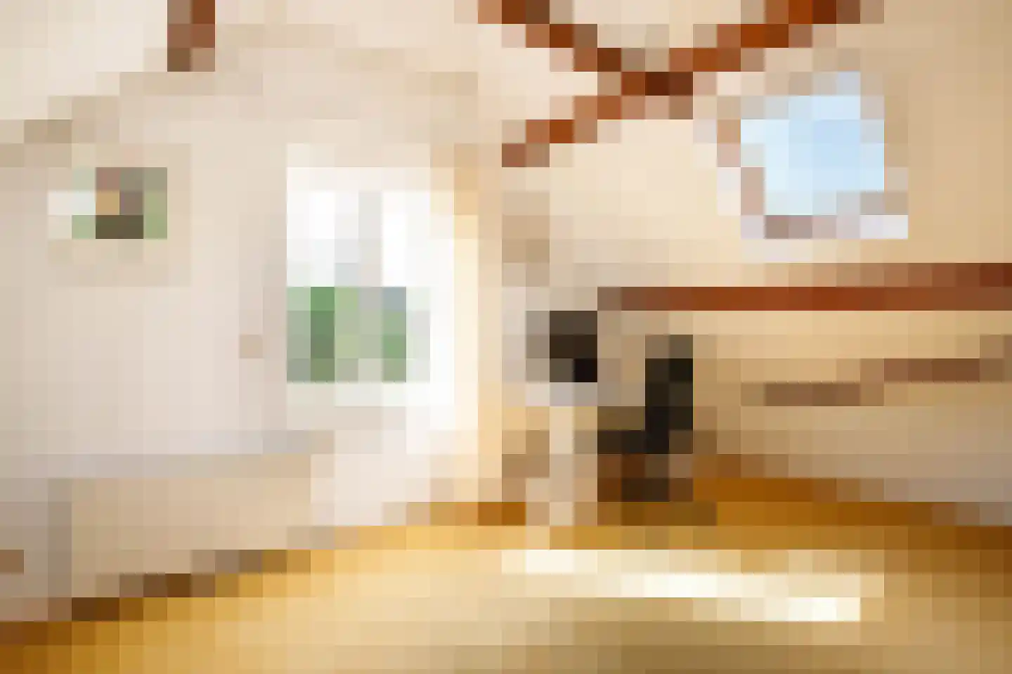 Opperduit 176 Lekkerkerk thumbnail 35