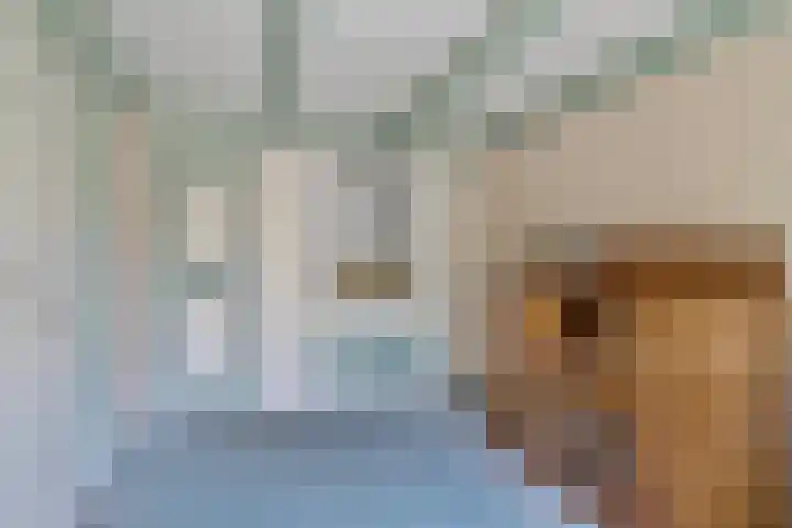 Opperduit 302 Lekkerkerk thumbnail 10