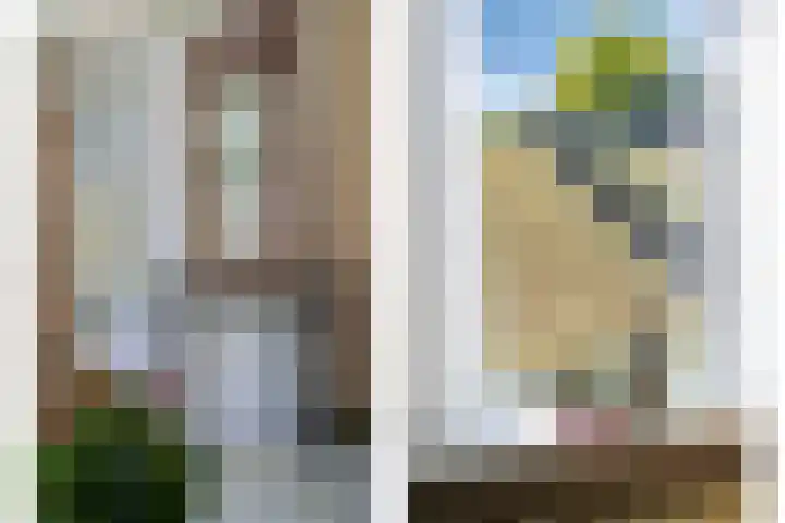 Opperduit 302 Lekkerkerk thumbnail 13