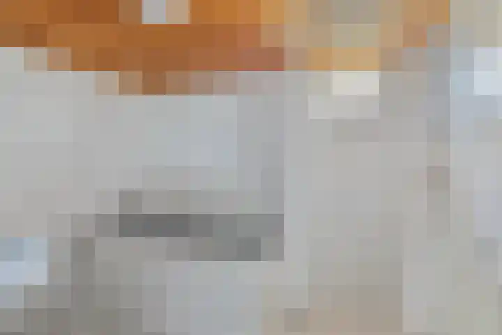 Opperduit 302 Lekkerkerk thumbnail 21