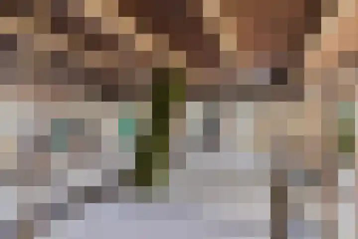 Opperduit 302 Lekkerkerk thumbnail 25