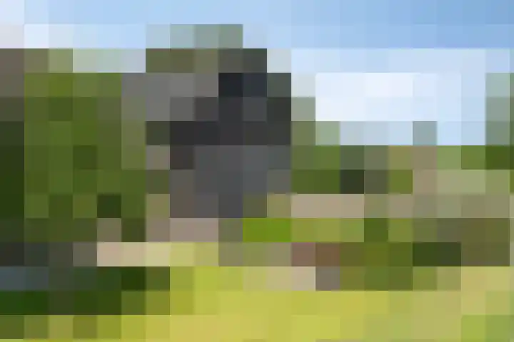 Opperduit 302 Lekkerkerk thumbnail 34
