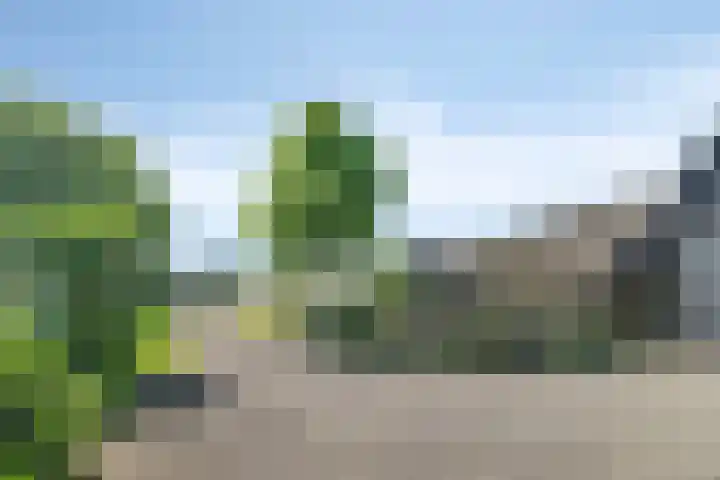 Opperduit 302 Lekkerkerk thumbnail 35