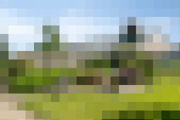 Opperduit 302 Lekkerkerk thumbnail 36