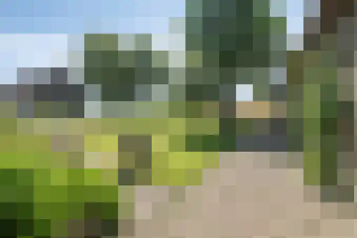Opperduit 302 Lekkerkerk thumbnail 37