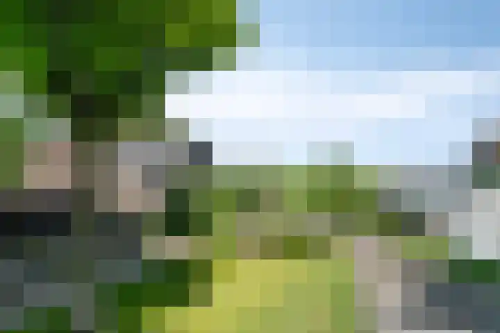 Opperduit 302 Lekkerkerk thumbnail 38