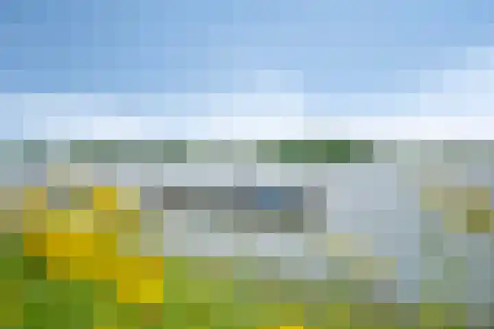 Opperduit 302 Lekkerkerk thumbnail 42