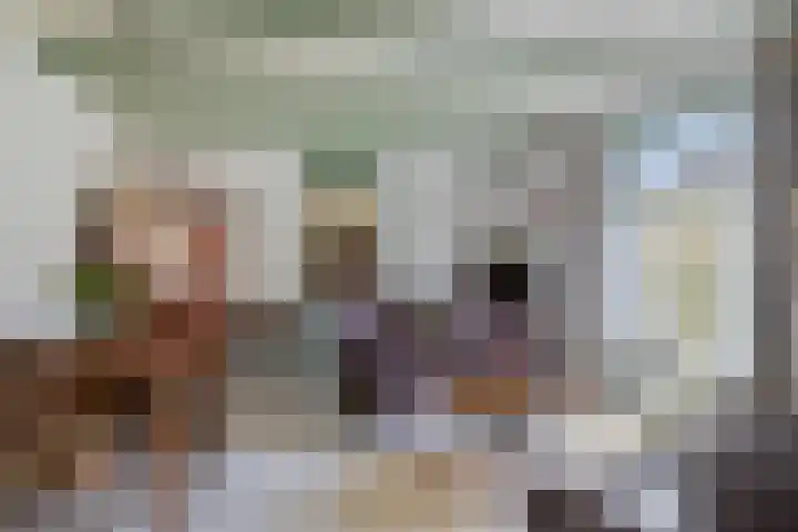 Opperduit 302 Lekkerkerk thumbnail 8
