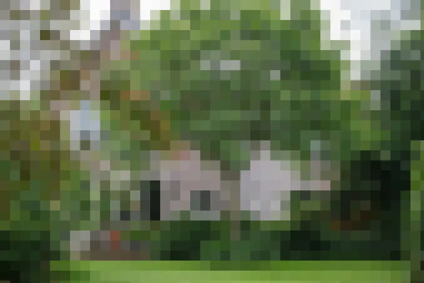 Opperduit 334 en Lekkerkerk
