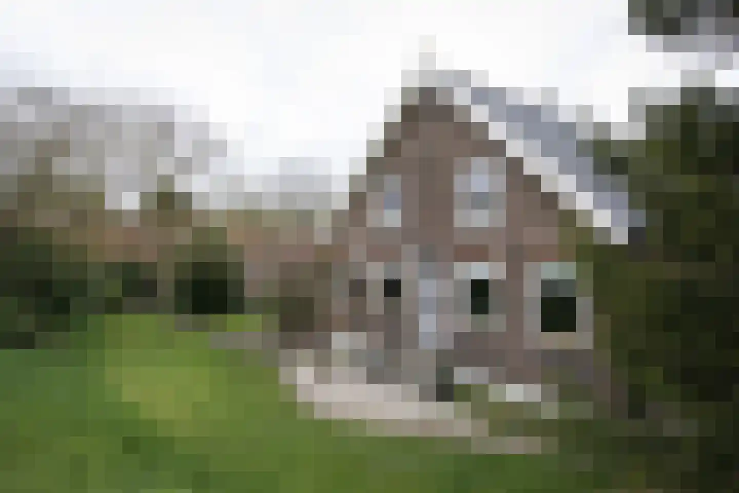 Opperduit 334 Lekkerkerk thumbnail 11