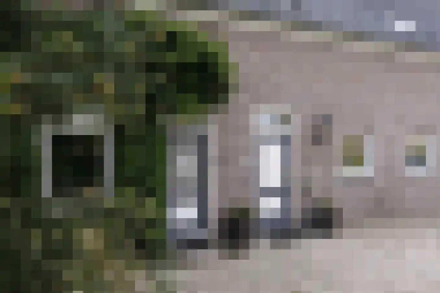 Opperduit 334 Lekkerkerk thumbnail 12