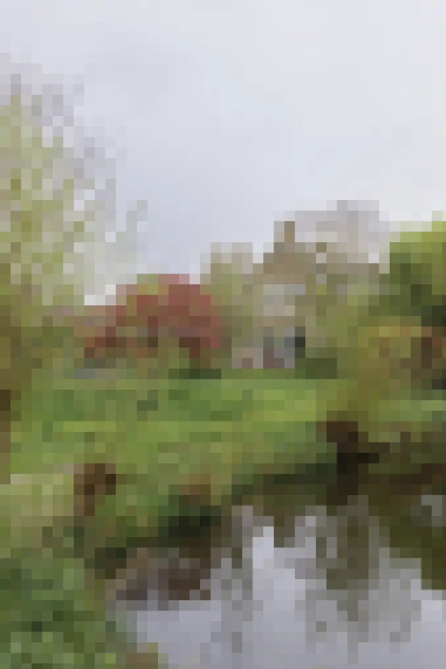 Opperduit 334 Lekkerkerk thumbnail 14