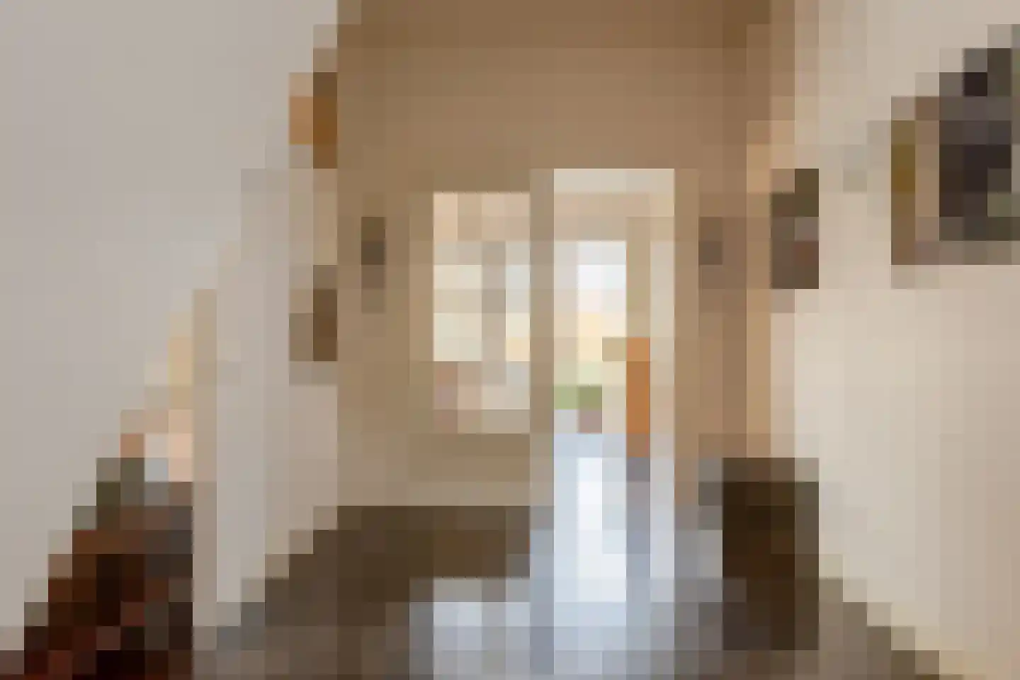 Opperduit 334 Lekkerkerk thumbnail 18