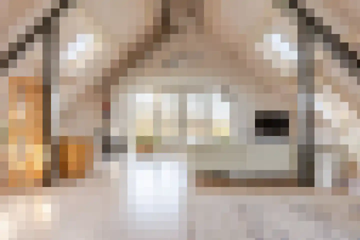 Opperduit 334 Lekkerkerk foto 2