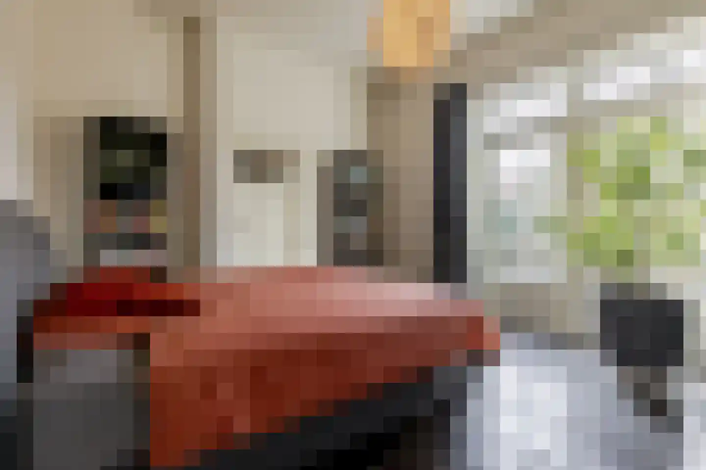 Opperduit 334 Lekkerkerk thumbnail 28