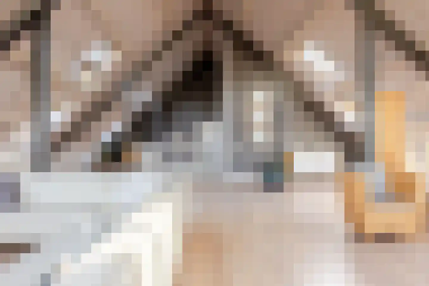 Opperduit 334 Lekkerkerk thumbnail 31