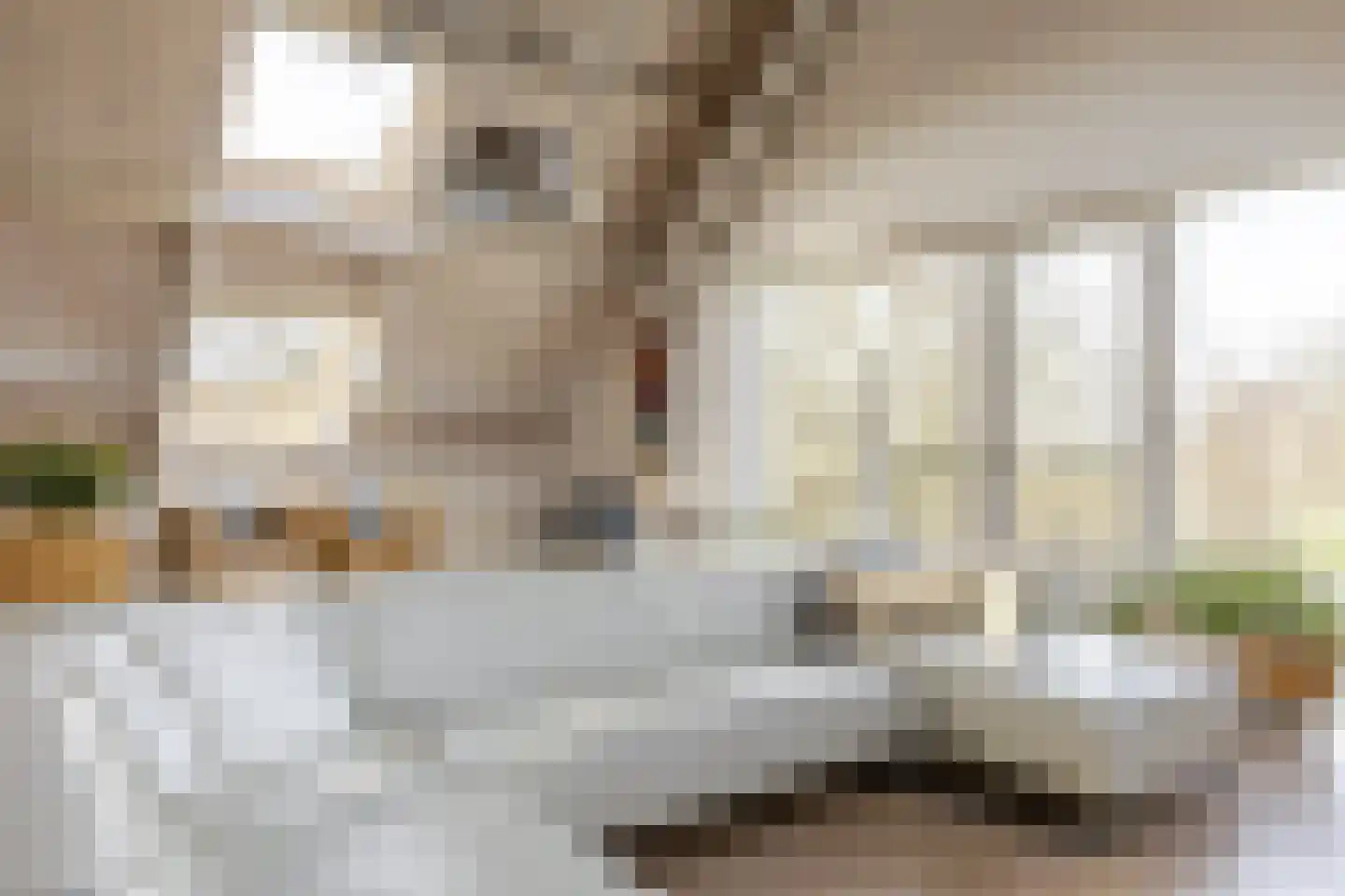 Opperduit 334 Lekkerkerk thumbnail 32
