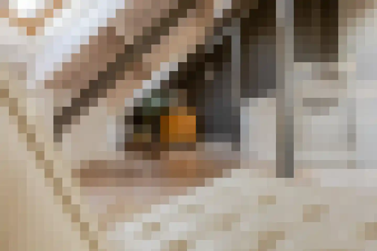 Opperduit 334 Lekkerkerk thumbnail 33