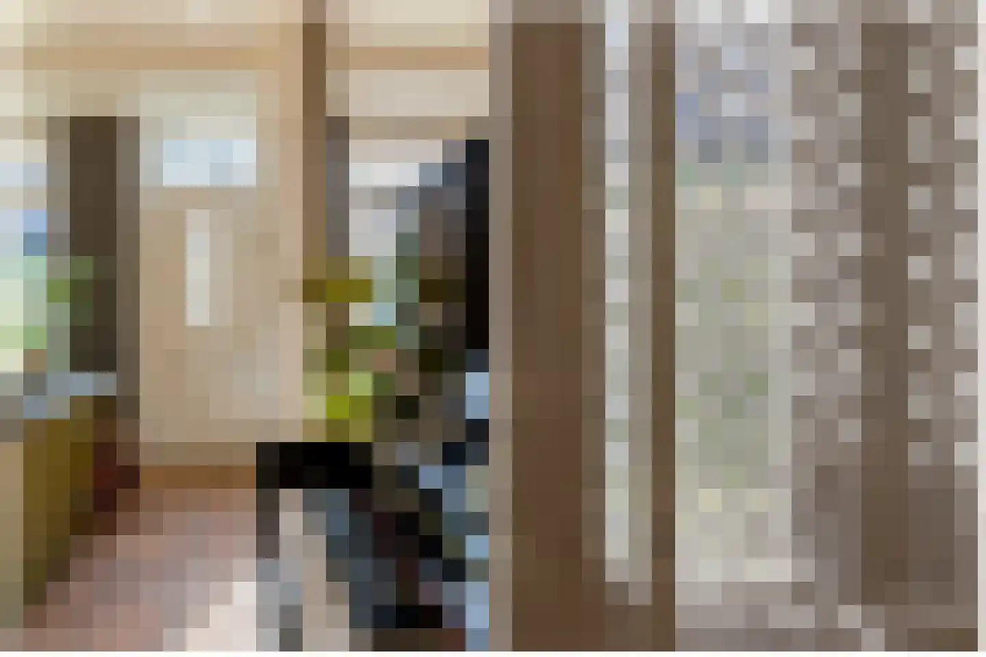 Opperduit 334 Lekkerkerk thumbnail 35