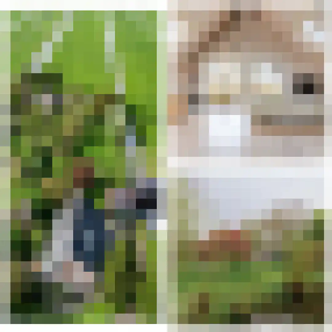 Opperduit 334 Lekkerkerk thumbnail 4