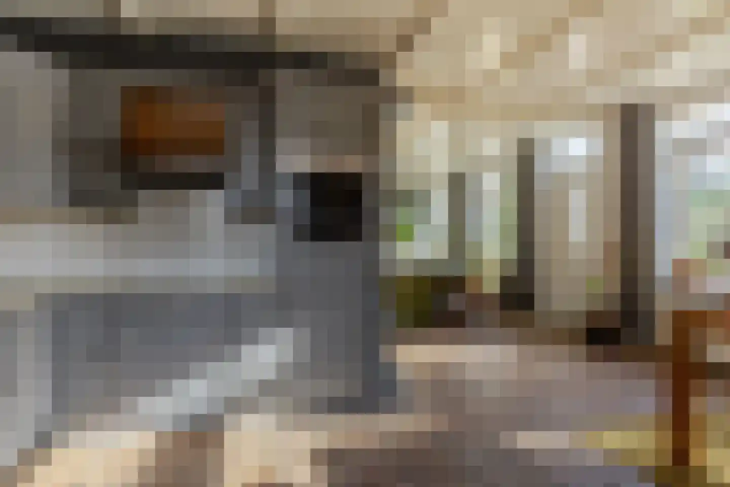 Opperduit 334 Lekkerkerk thumbnail 40