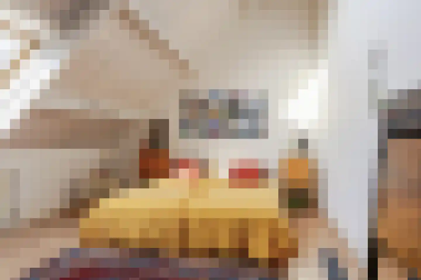 Opperduit 334 Lekkerkerk thumbnail 42