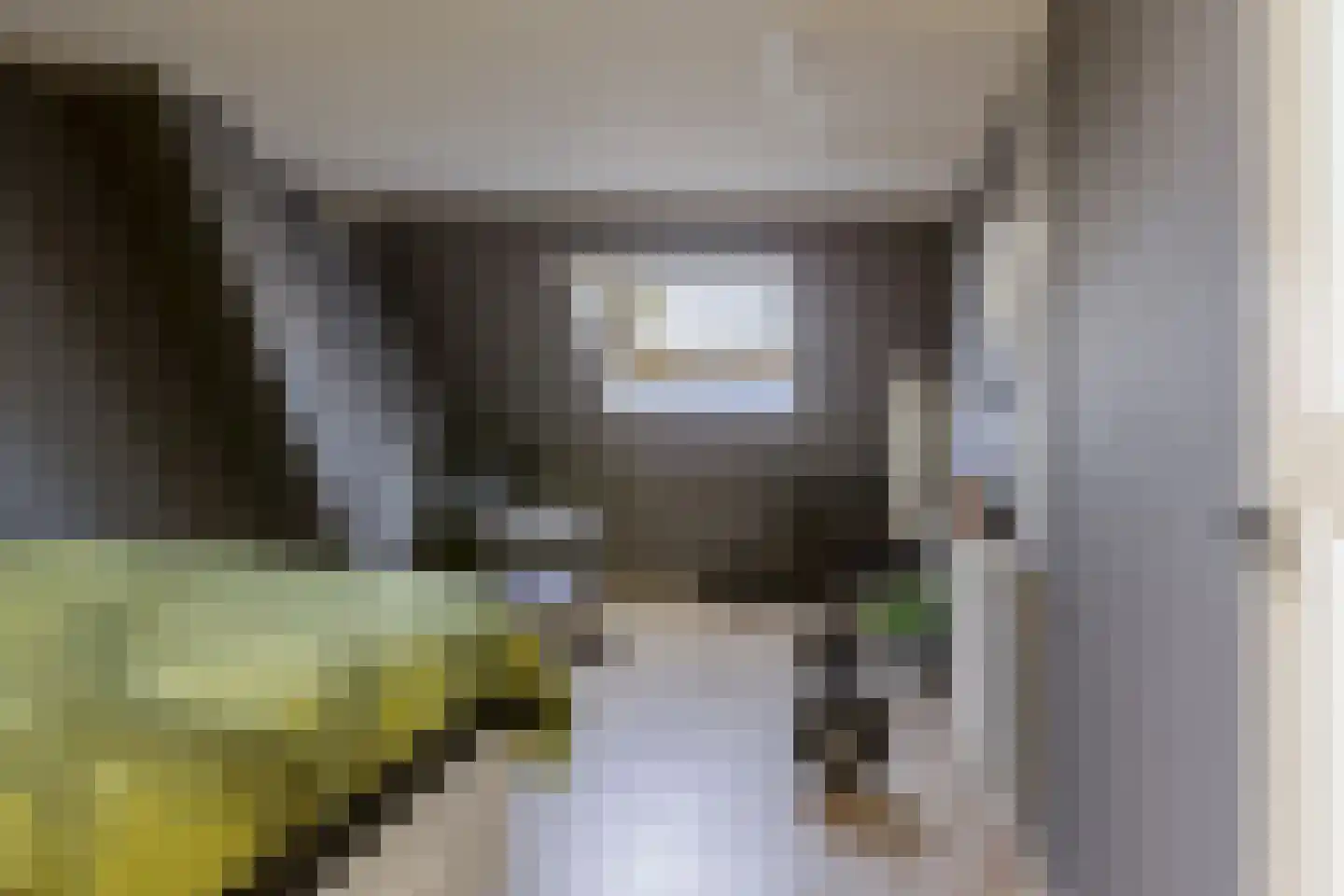 Opperduit 334 Lekkerkerk thumbnail 45