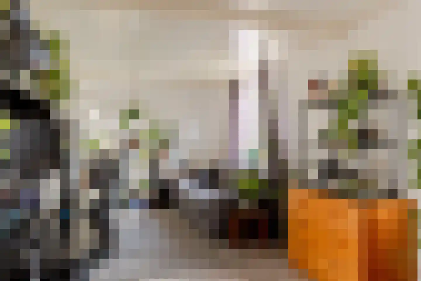 Opperduit 334 Lekkerkerk thumbnail 46