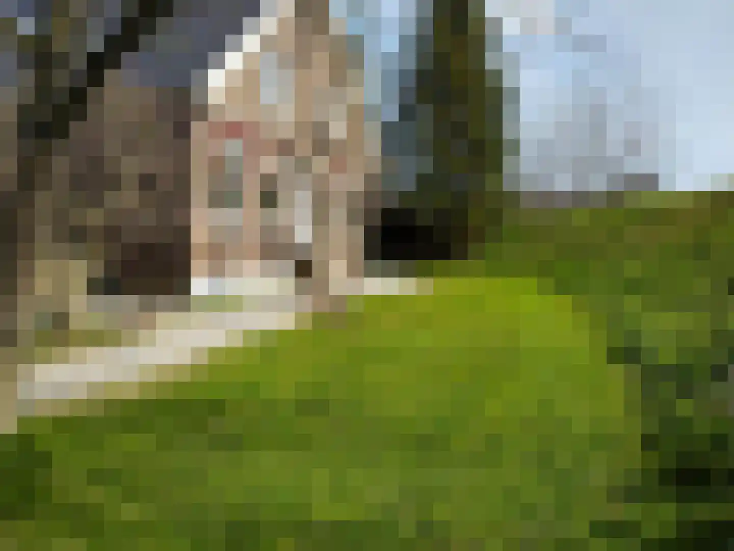 Opperduit 334 Lekkerkerk thumbnail 5