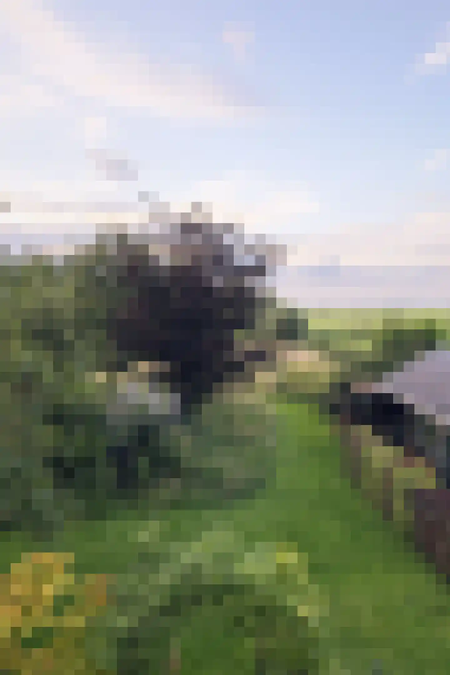 Opperduit 334 Lekkerkerk thumbnail 51