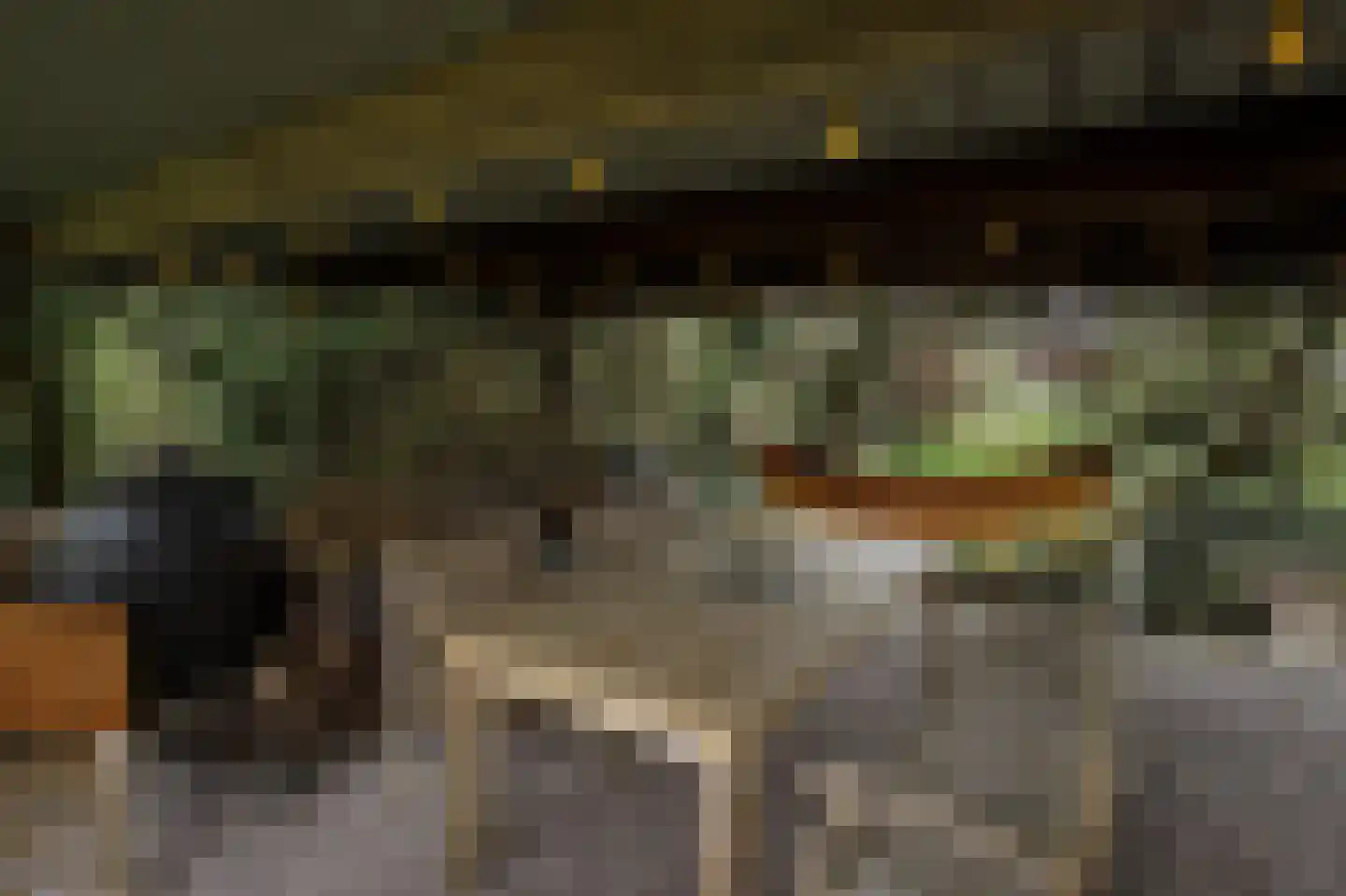 Opperduit 334 Lekkerkerk thumbnail 52
