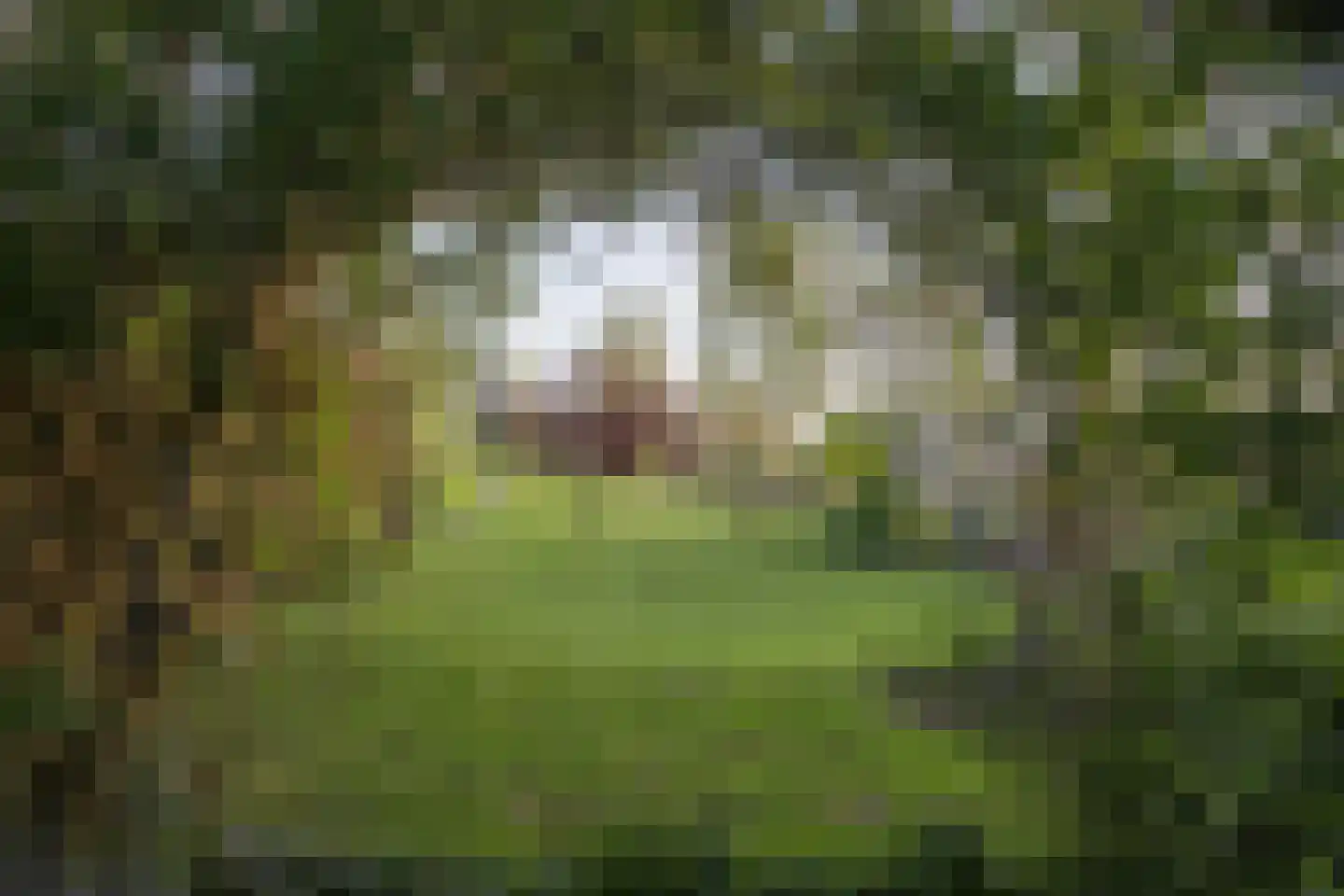 Opperduit 334 Lekkerkerk thumbnail 53