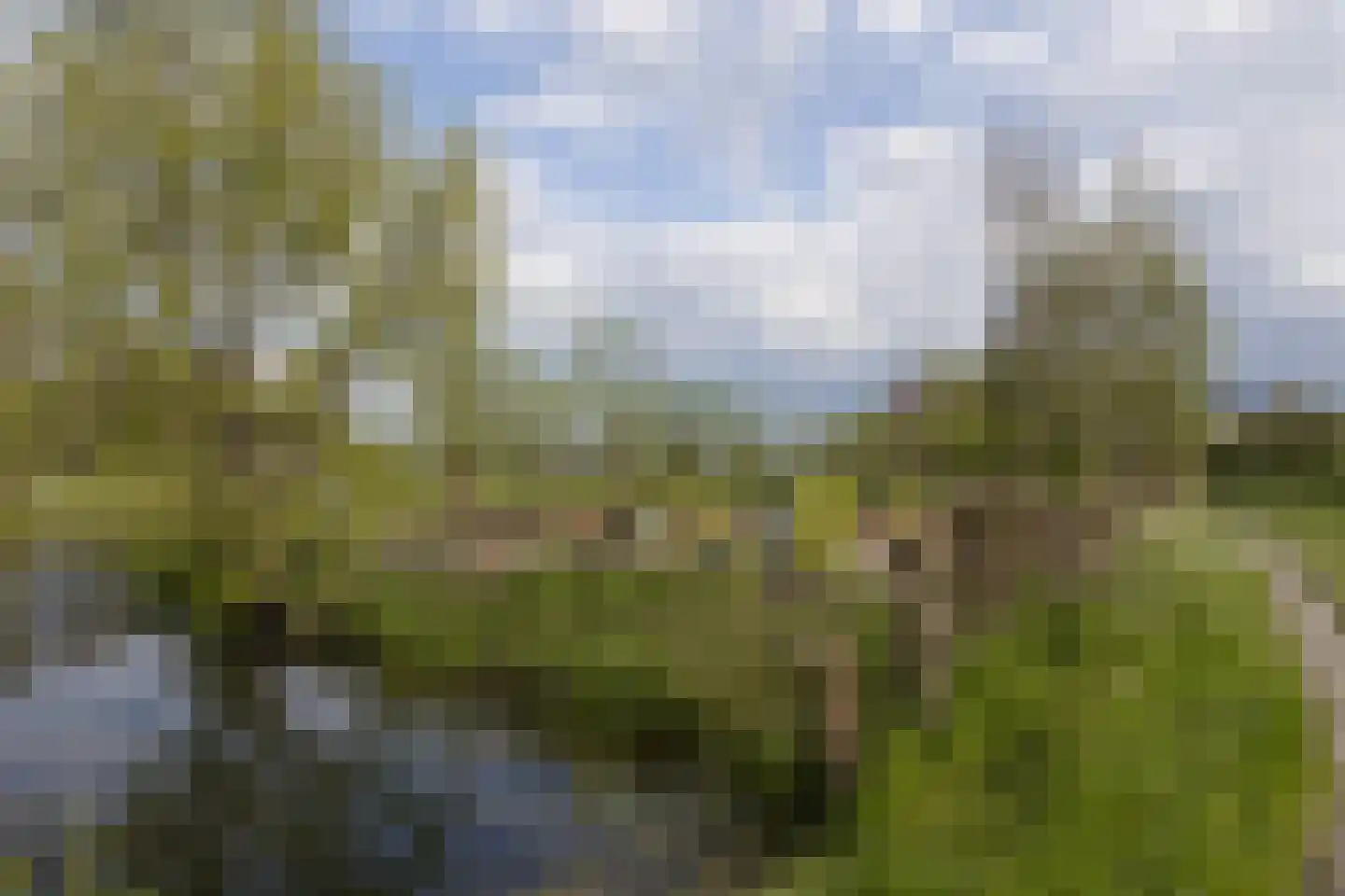 Opperduit 334 Lekkerkerk thumbnail 55