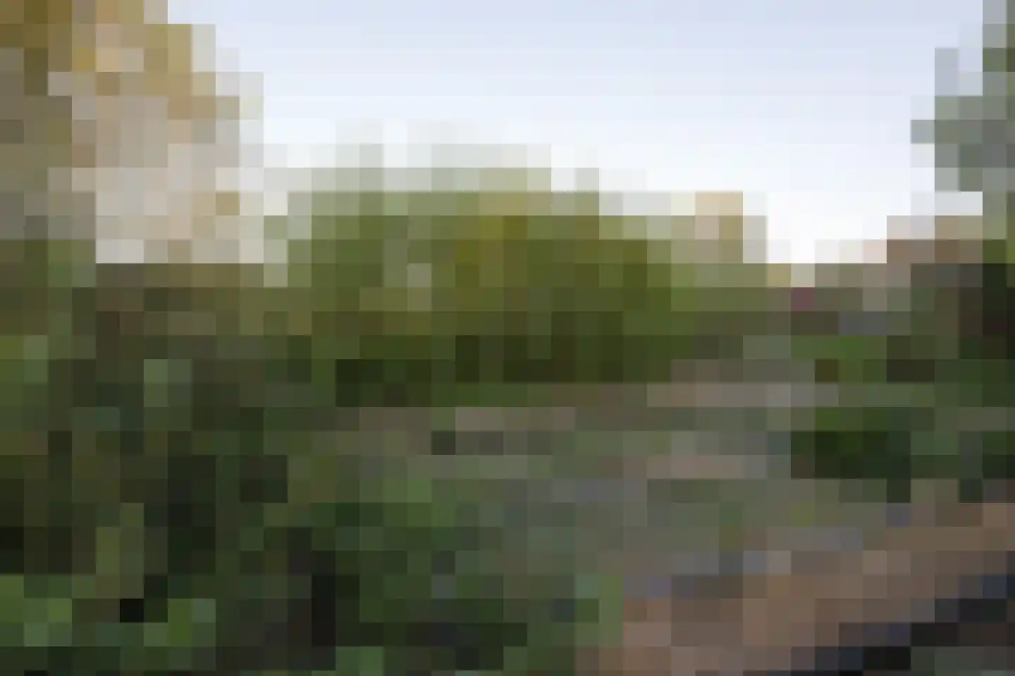 Opperduit 334 Lekkerkerk thumbnail 56