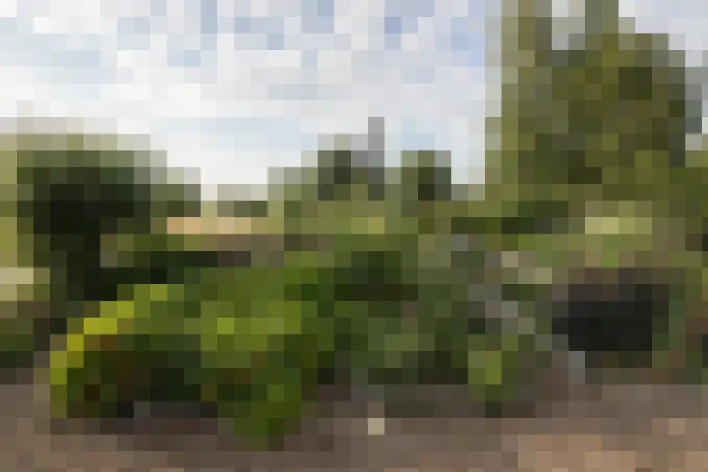 Opperduit 334 Lekkerkerk thumbnail 59