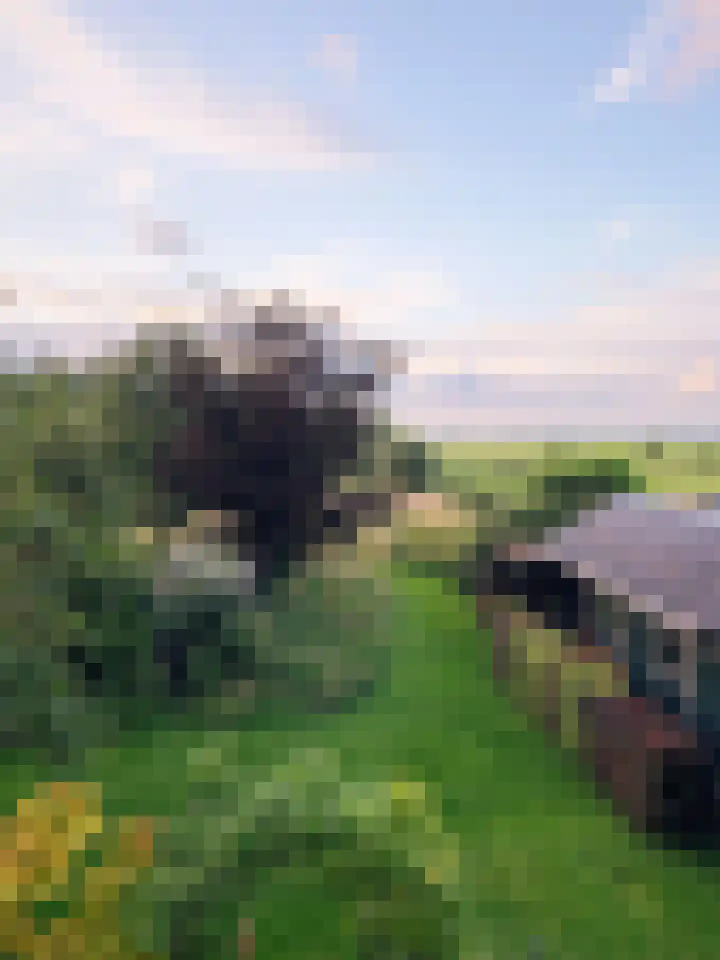 Opperduit 334 Lekkerkerk thumbnail 6