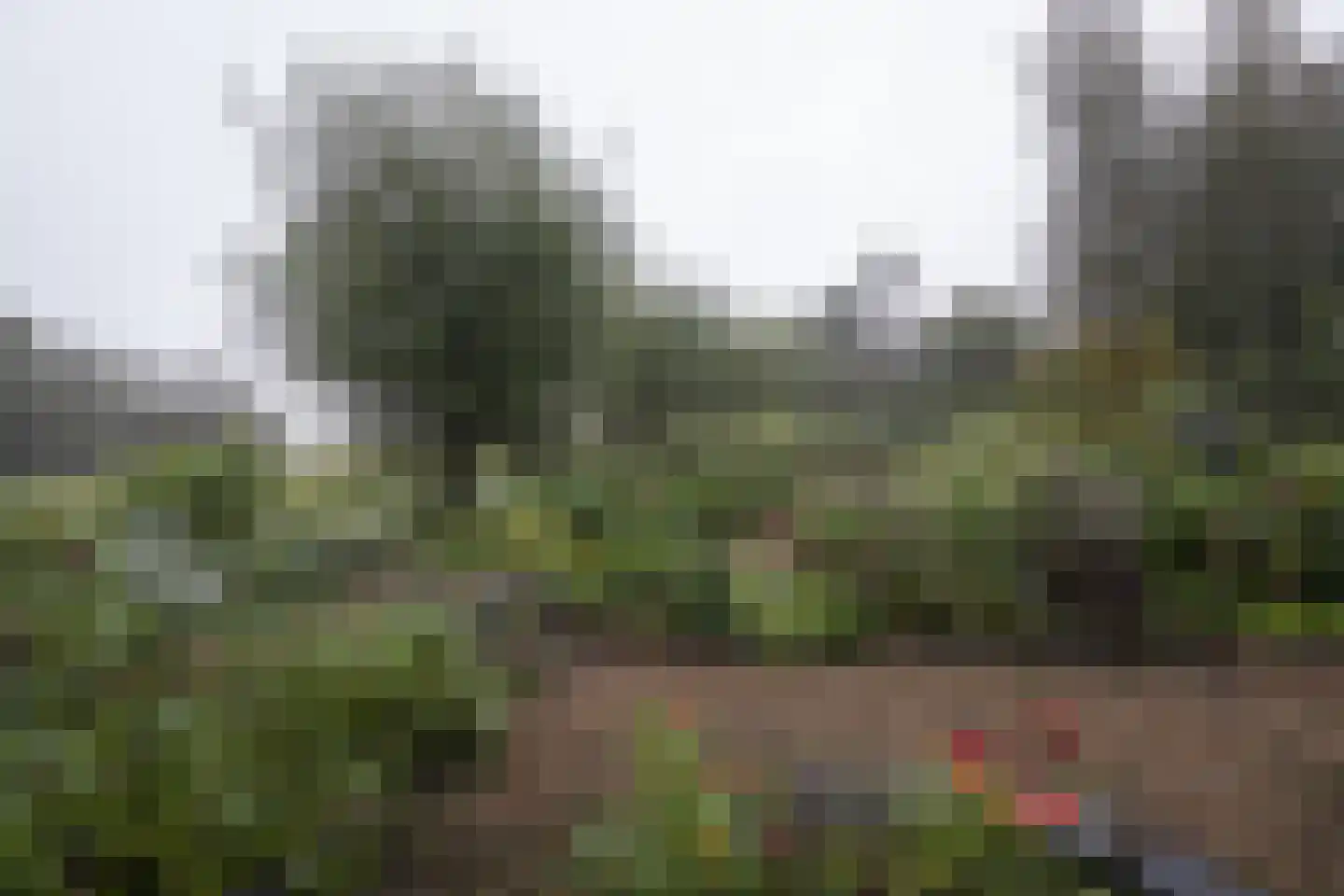 Opperduit 334 Lekkerkerk thumbnail 60
