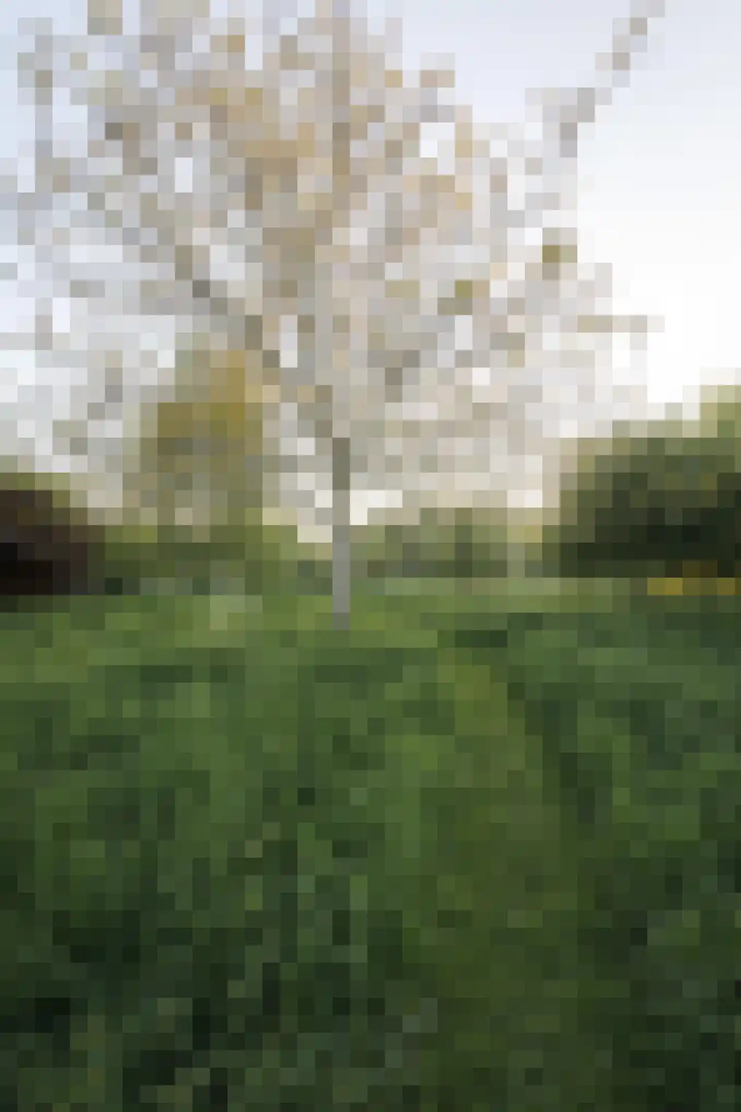 Opperduit 334 Lekkerkerk thumbnail 61