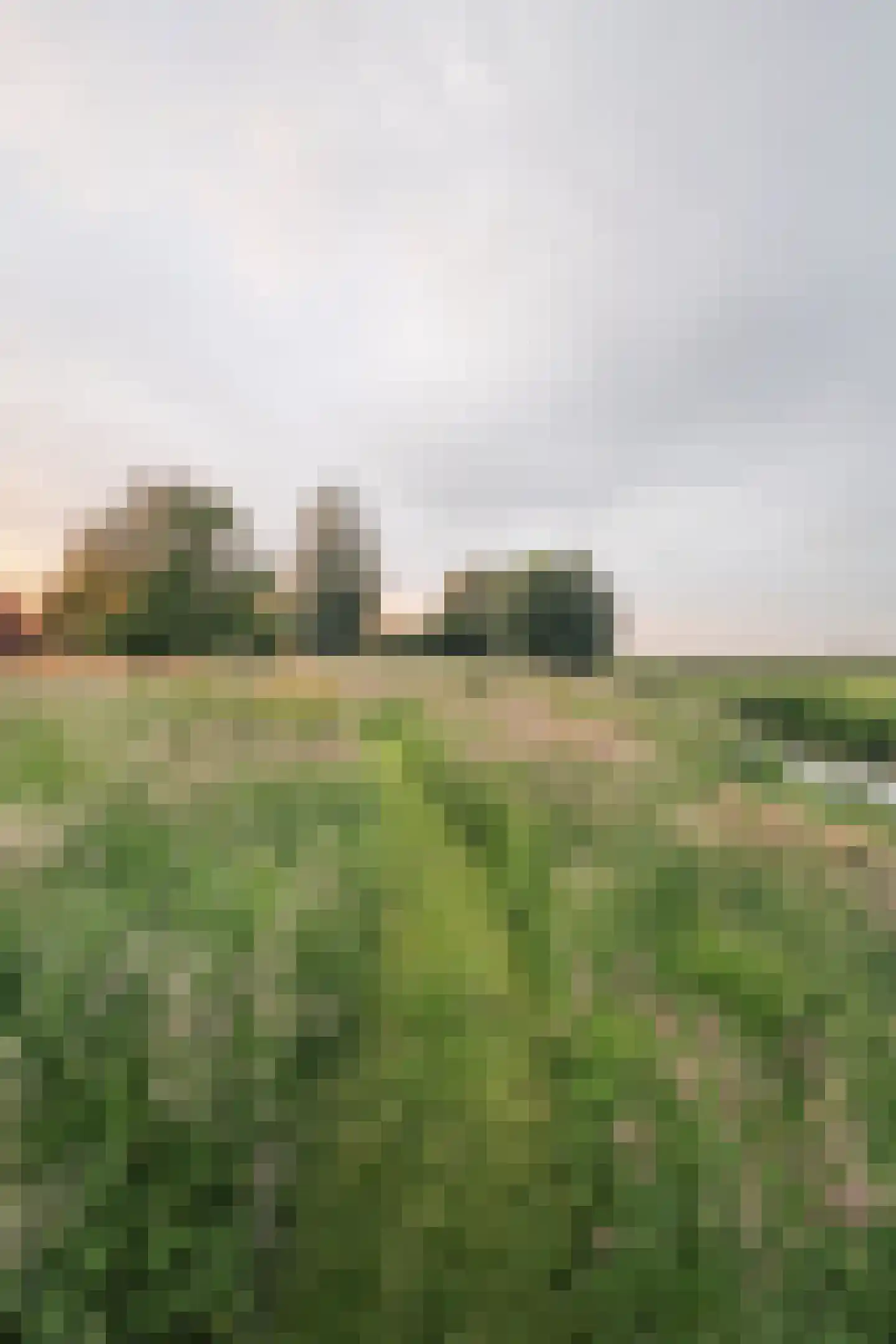 Opperduit 334 Lekkerkerk thumbnail 62
