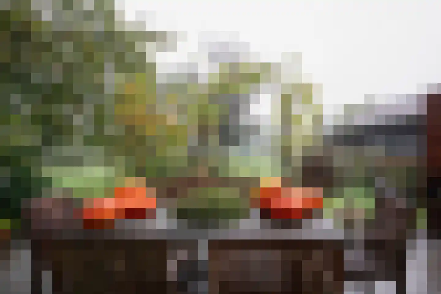 Opperduit 334 Lekkerkerk thumbnail 63