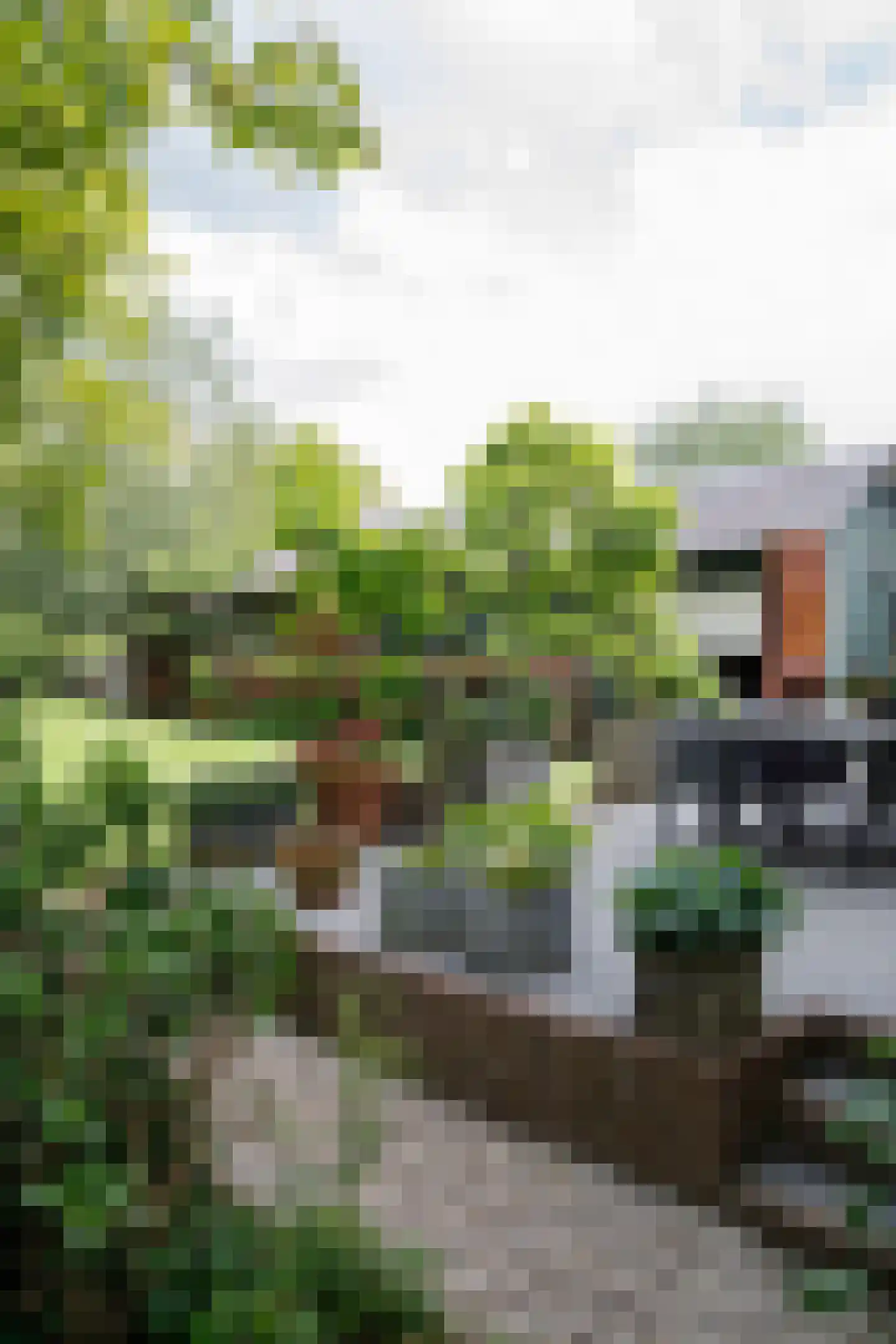 Opperduit 334 Lekkerkerk thumbnail 64